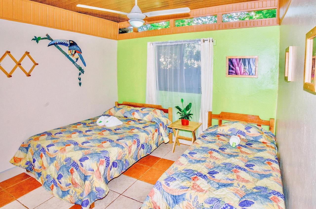 Hotel Blue Iguana Sámara Zewnętrze zdjęcie
