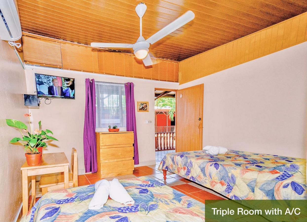 Hotel Blue Iguana Sámara Zewnętrze zdjęcie