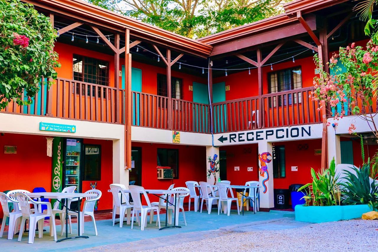 Hotel Blue Iguana Sámara Zewnętrze zdjęcie