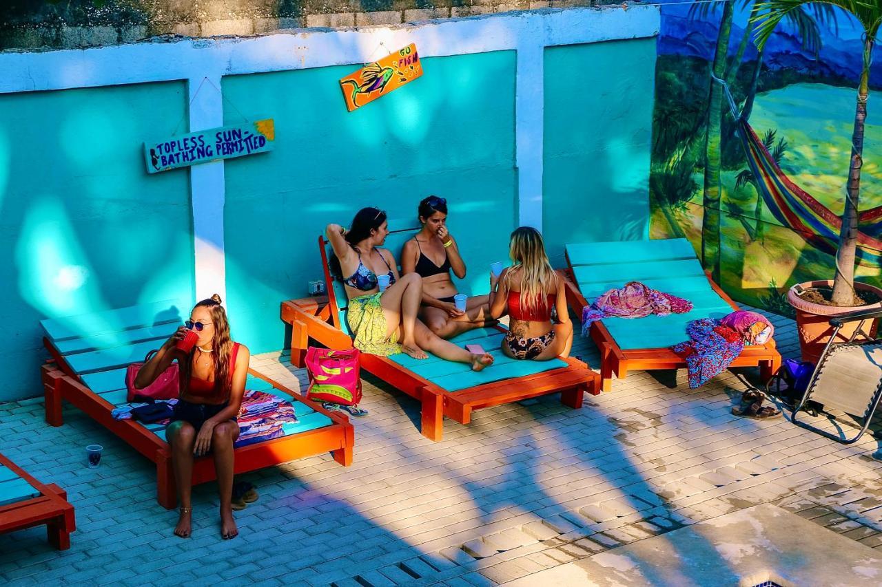 Hotel Blue Iguana Sámara Zewnętrze zdjęcie