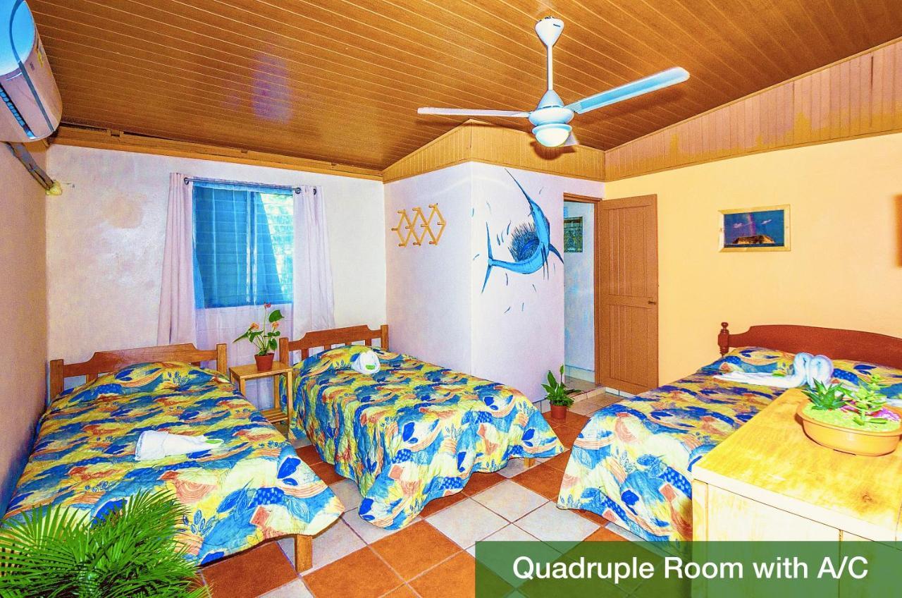 Hotel Blue Iguana Sámara Zewnętrze zdjęcie