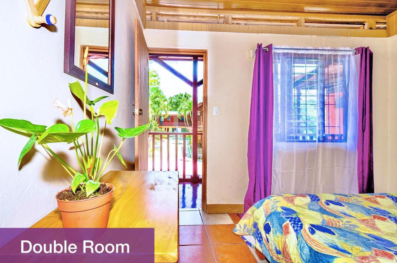 Hotel Blue Iguana Sámara Zewnętrze zdjęcie