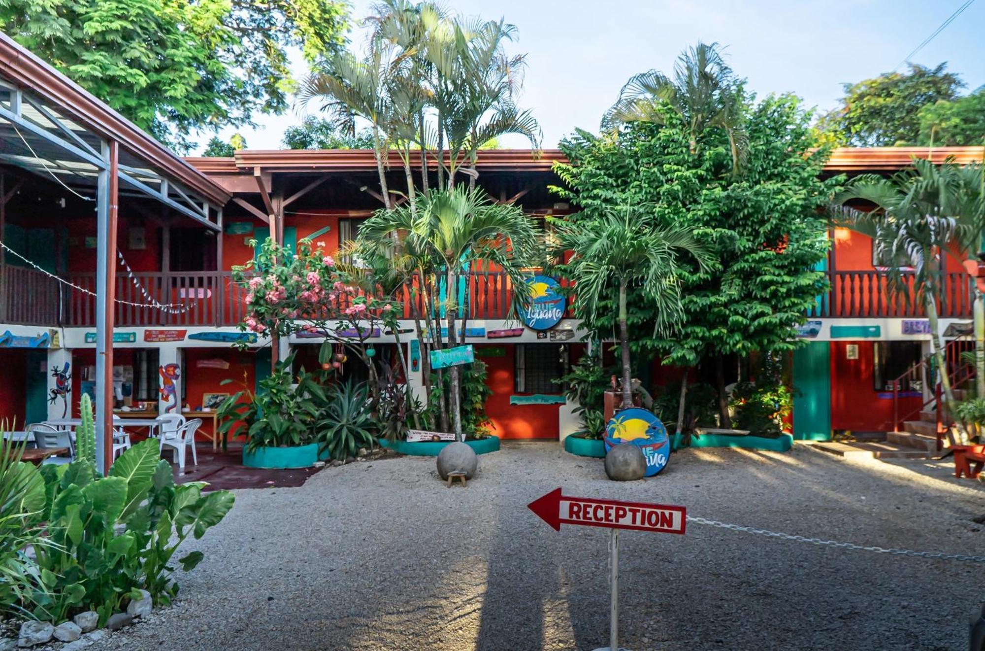 Hotel Blue Iguana Sámara Zewnętrze zdjęcie